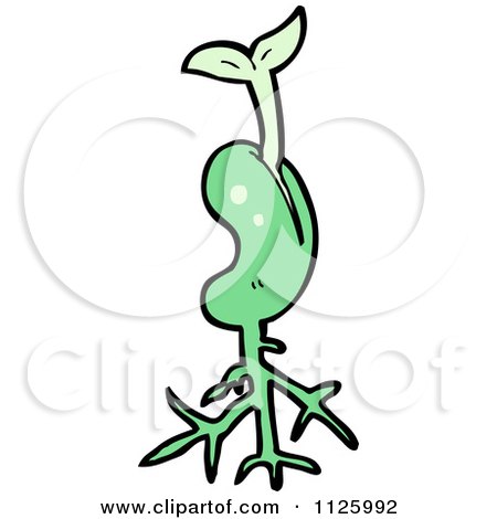 450x470 Cartoon Of A Sprouting Plant Seed 1