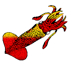 234x213 Free Squid Clipart 1 Page Of Clip Art