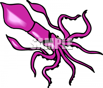 350x301 Royalty Free Squid Clip Art, Fish And Sea Life Clipart