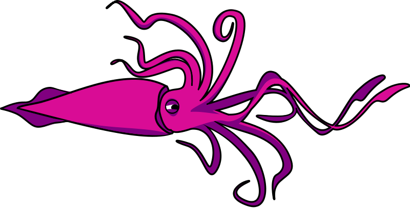 800x407 Squid Clip Art Free Clipart Panda