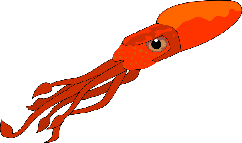 800x474 Squid Clip Art Amp Squid Clipart Images