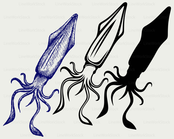 570x456 Squid Svgsquid Clipartsquid Svgsquid Silhouettesquid Cricut