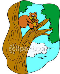 243x300 Collection Of Squirrel In A Tree Clipart High Quality, Free