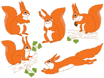 350x263 Squirrel Art Teaching Resources Teachers Pay Teachers