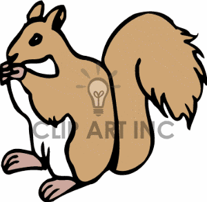 300x293 Squirrel Clip Art Outline Clipart Panda