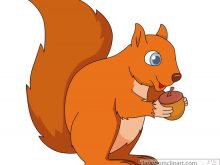 220x165 Squirrel Images Clipart Free Squirrel Clipart Clip Art Pictures
