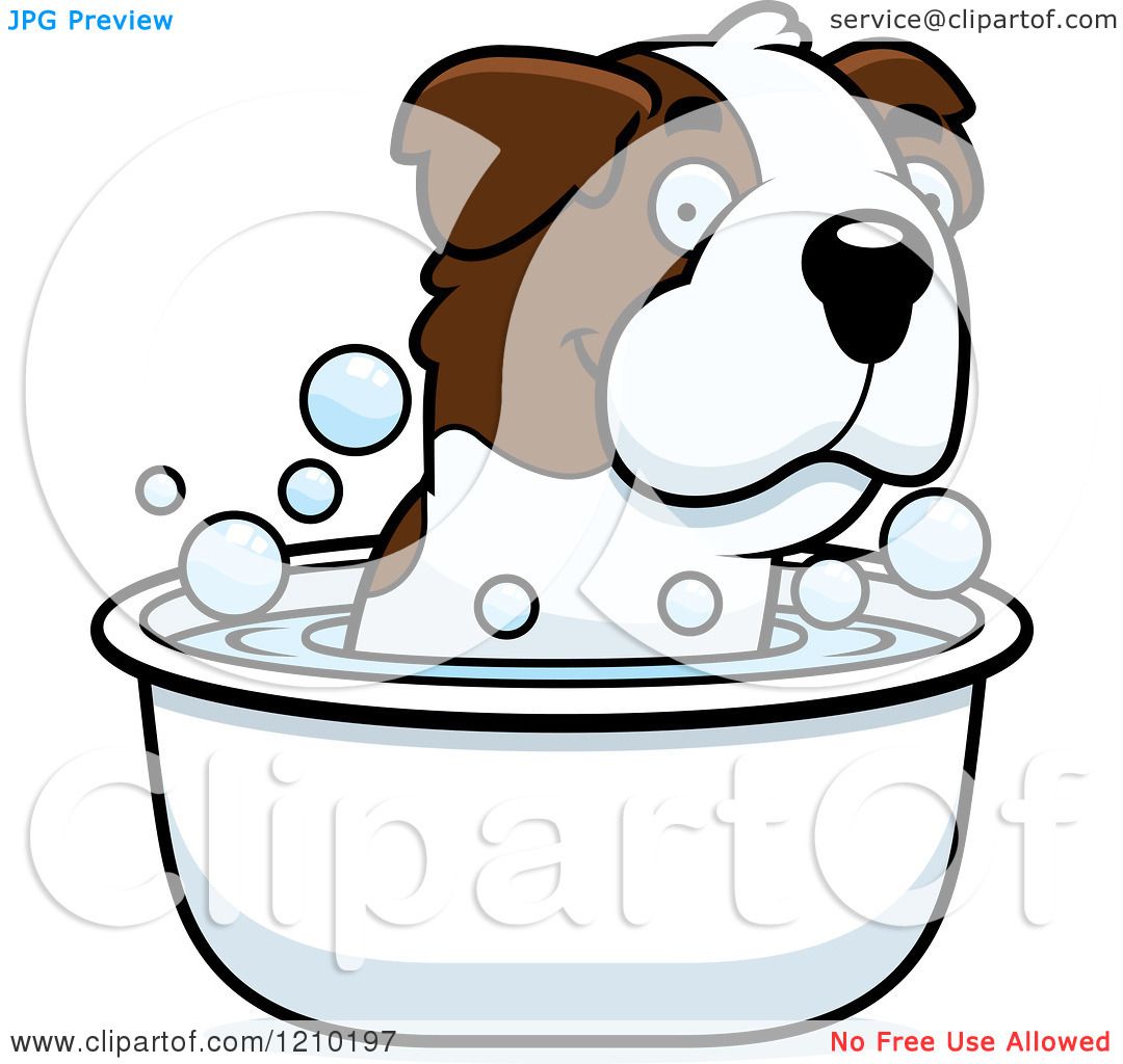 1080x1024 Cartoon Of A St Bernard Dog Taking A Bath