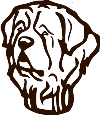 350x400 St. Bernard 1