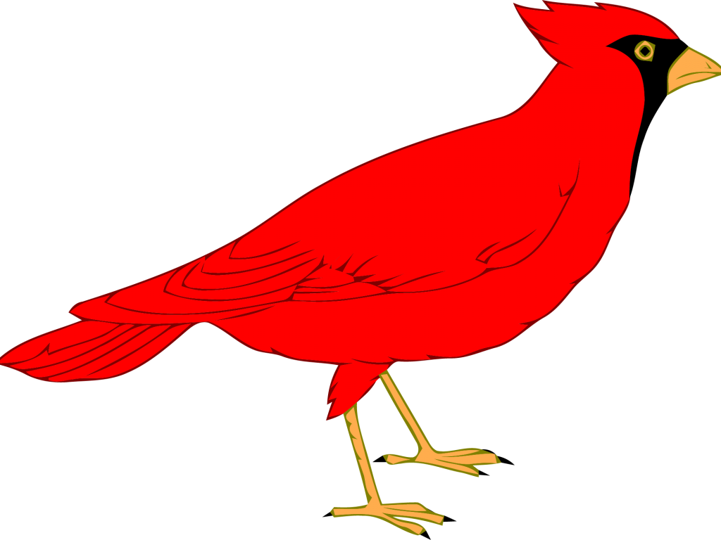 1024x768 Northern Cardinal St. Louis Cardinals Clip Art