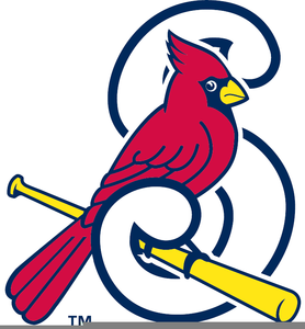 278x300 St Louis Cardinals Clipart Free Images