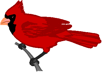 327x233 Cardinal Clipart Cute