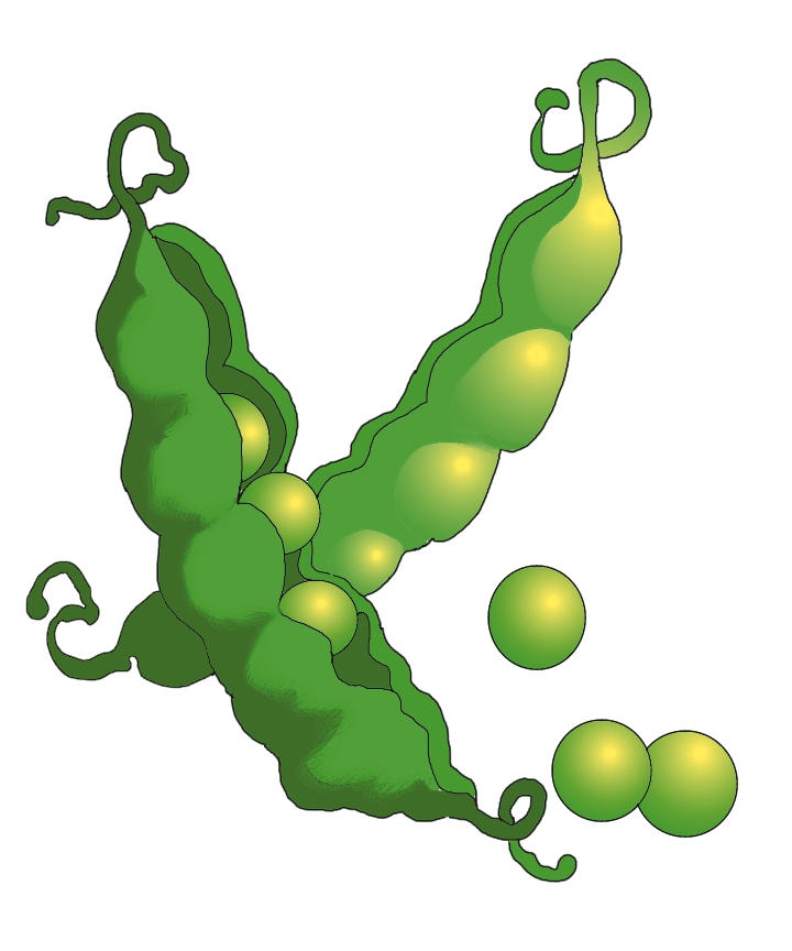 720x864 Clip Art 192 St. Peter The Apostle Catholic School