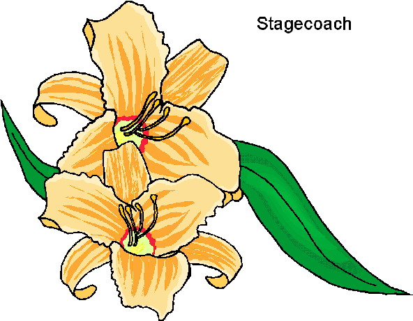 592x461 Flowers Clip Art Flowers And Plants