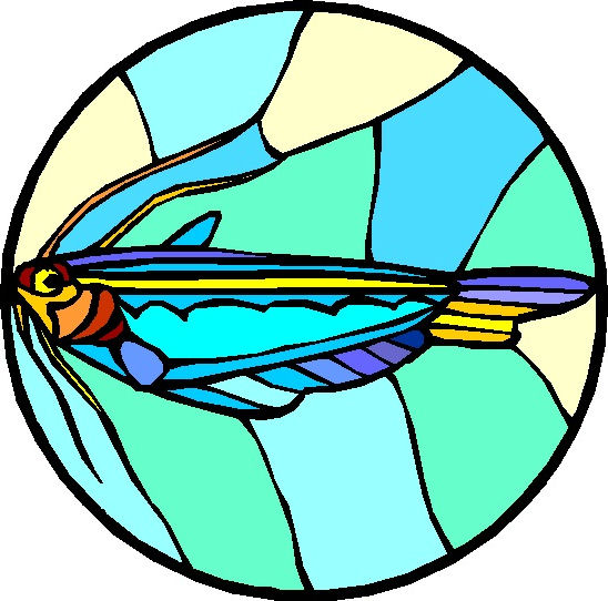548x542 Stained Glass Clipart