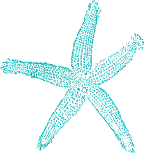 282x300 Single Starfish Light Teal Clip Art