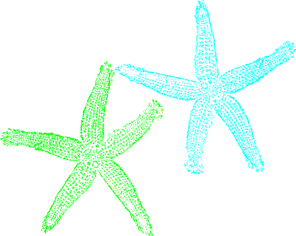 600x477 Turquoise And Lime Green Starfish Clip Art