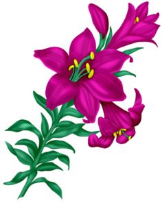 236x296 Rose.png Scrapbooking ~ 3d