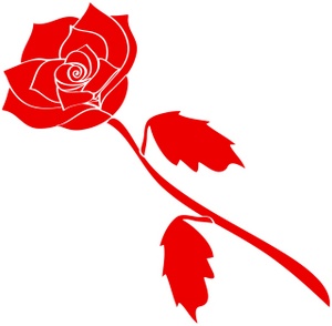 300x294 Long Stem Rose Clipart