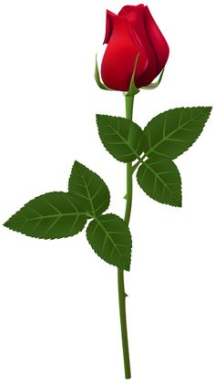 236x420 Rose With Stem Png Clip Art Image