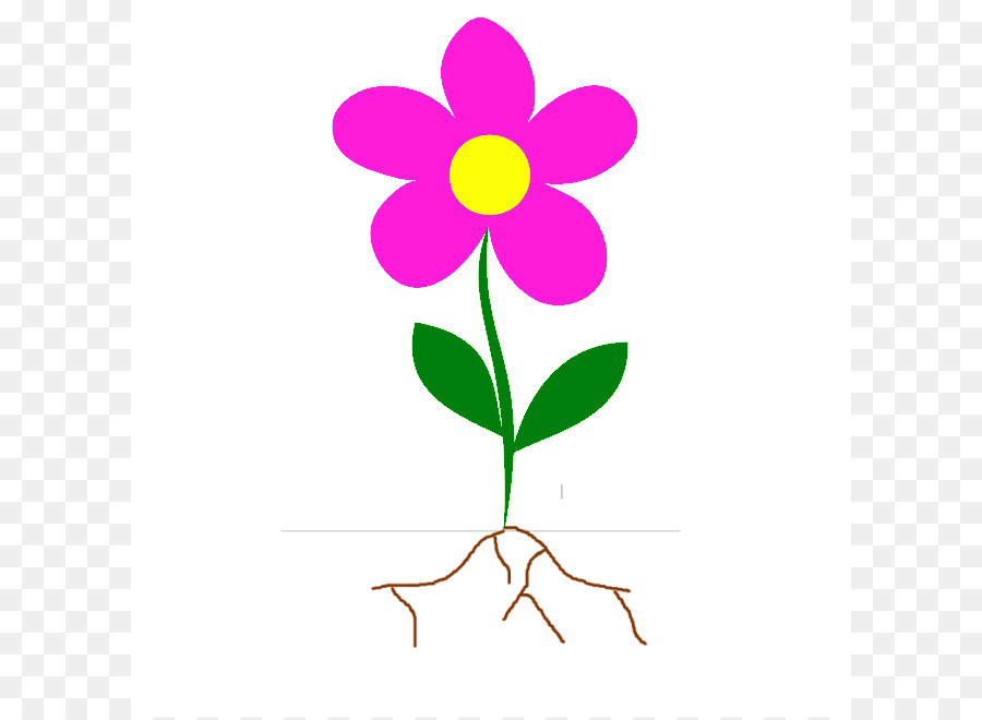 900x660 Flower Root Plant Stem Clip Art