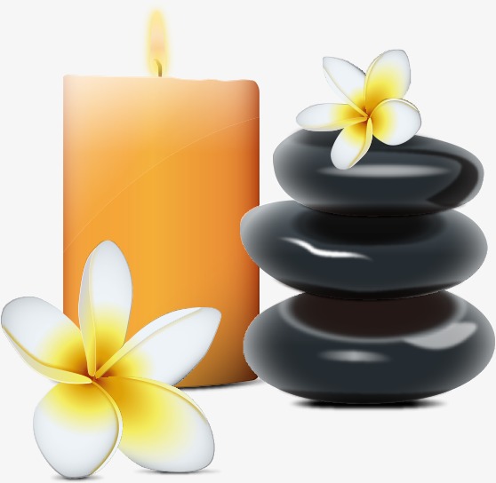 558x544 Plumeria,flower, Plumeria, Petal, Flower Png Image And Clipart