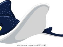220x165 Sting Ray Clip Art Stingray Cartoon Stock Images Royalty Free
