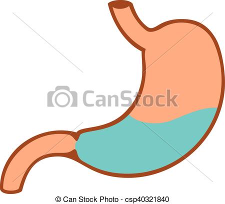 450x408 Illustration Of Human Stomach. Illustration Of Human Eps Vector