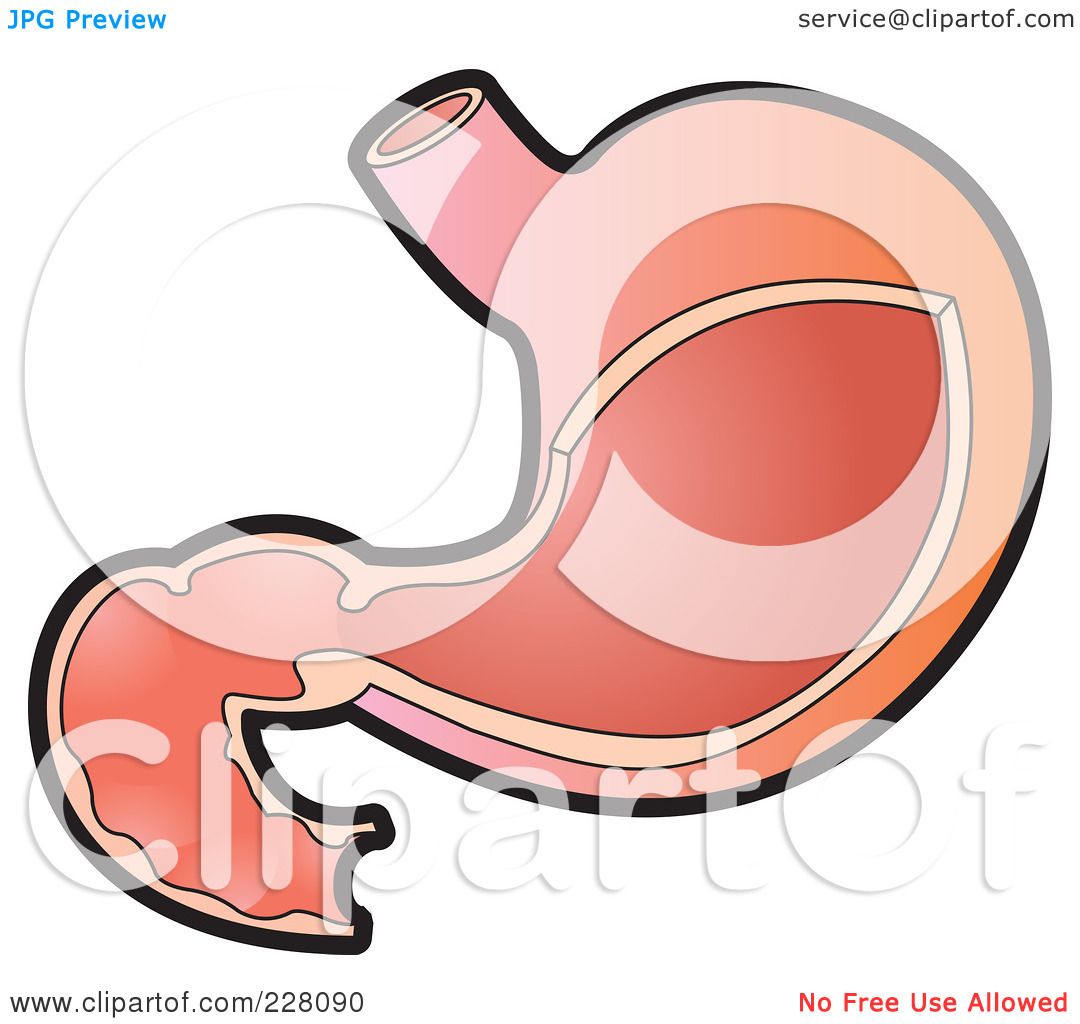 1080x1024 Royalty Free (Rf) Clipart Illustration Of A Stomach By Lal Perera