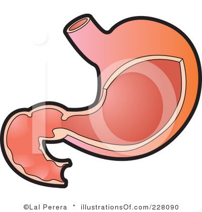400x420 Amazing Stomach Clipart