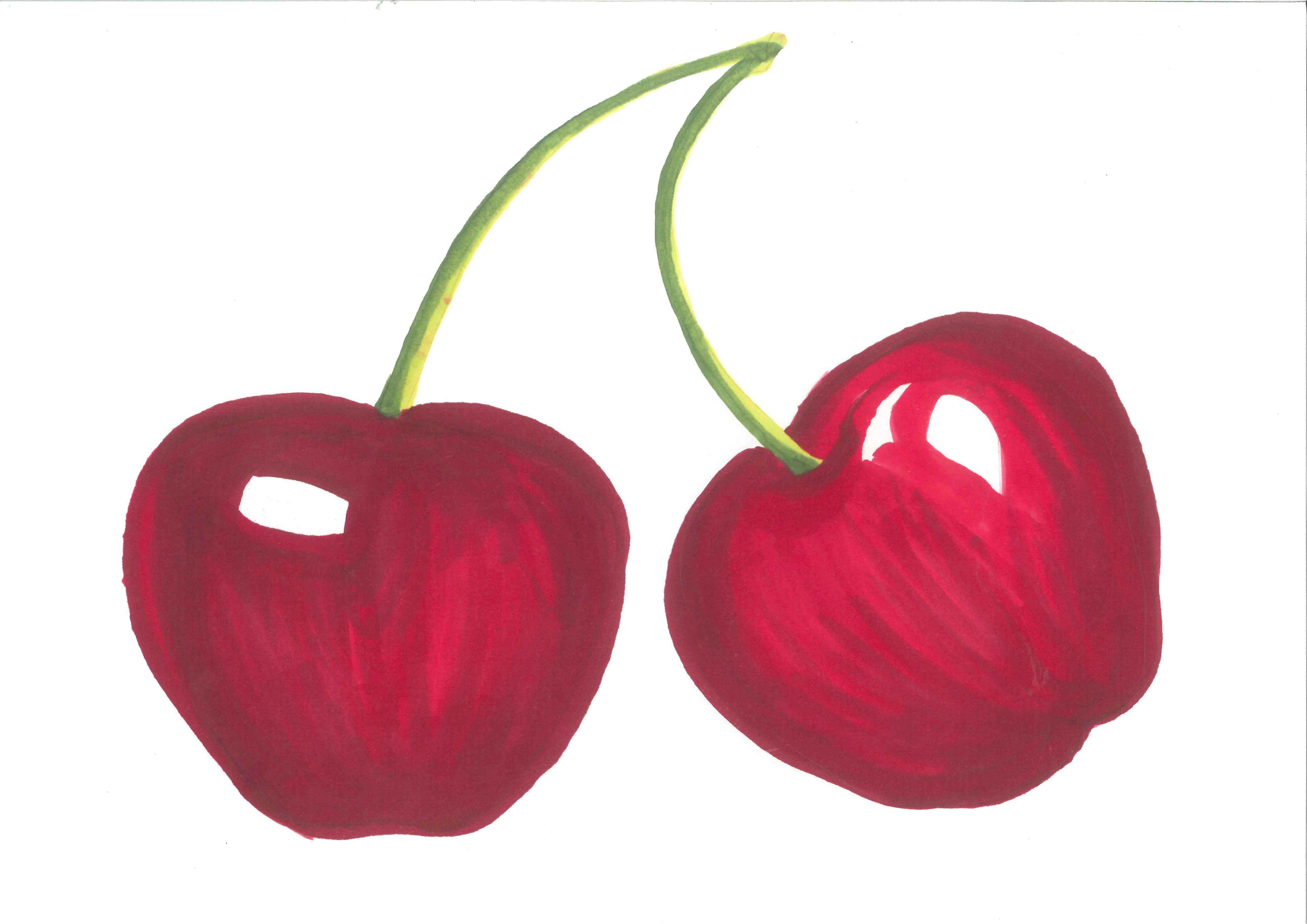 4677x3308 Clip Art Fruits By Stephanie Clipart Panda