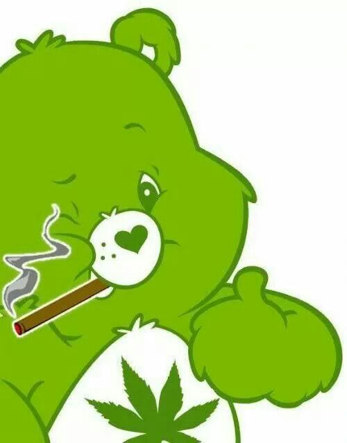 500x639 Buzzed Bear Lol !! Lottie's Marijuana Legalization, Facts