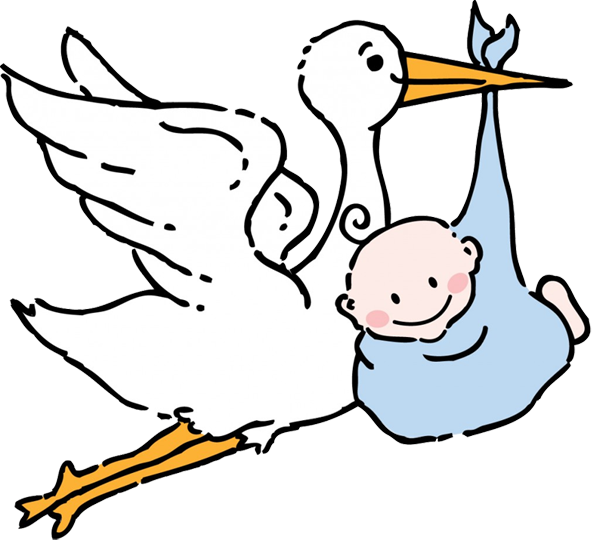 600x541 Stork Clipart Adoption