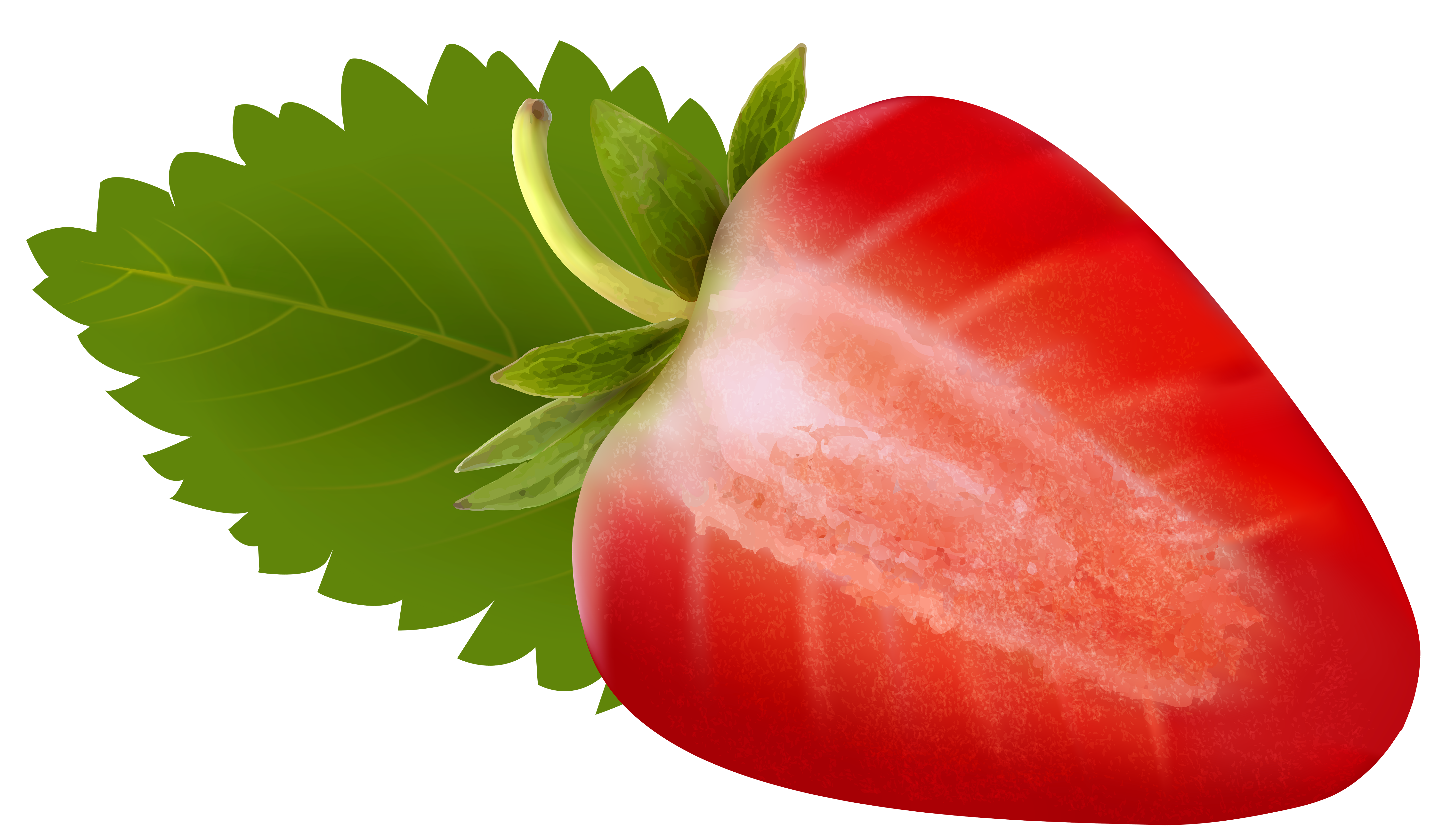 6000x3465 Strawberry Free Png Clip Art Imageu200b Gallery Yopriceville