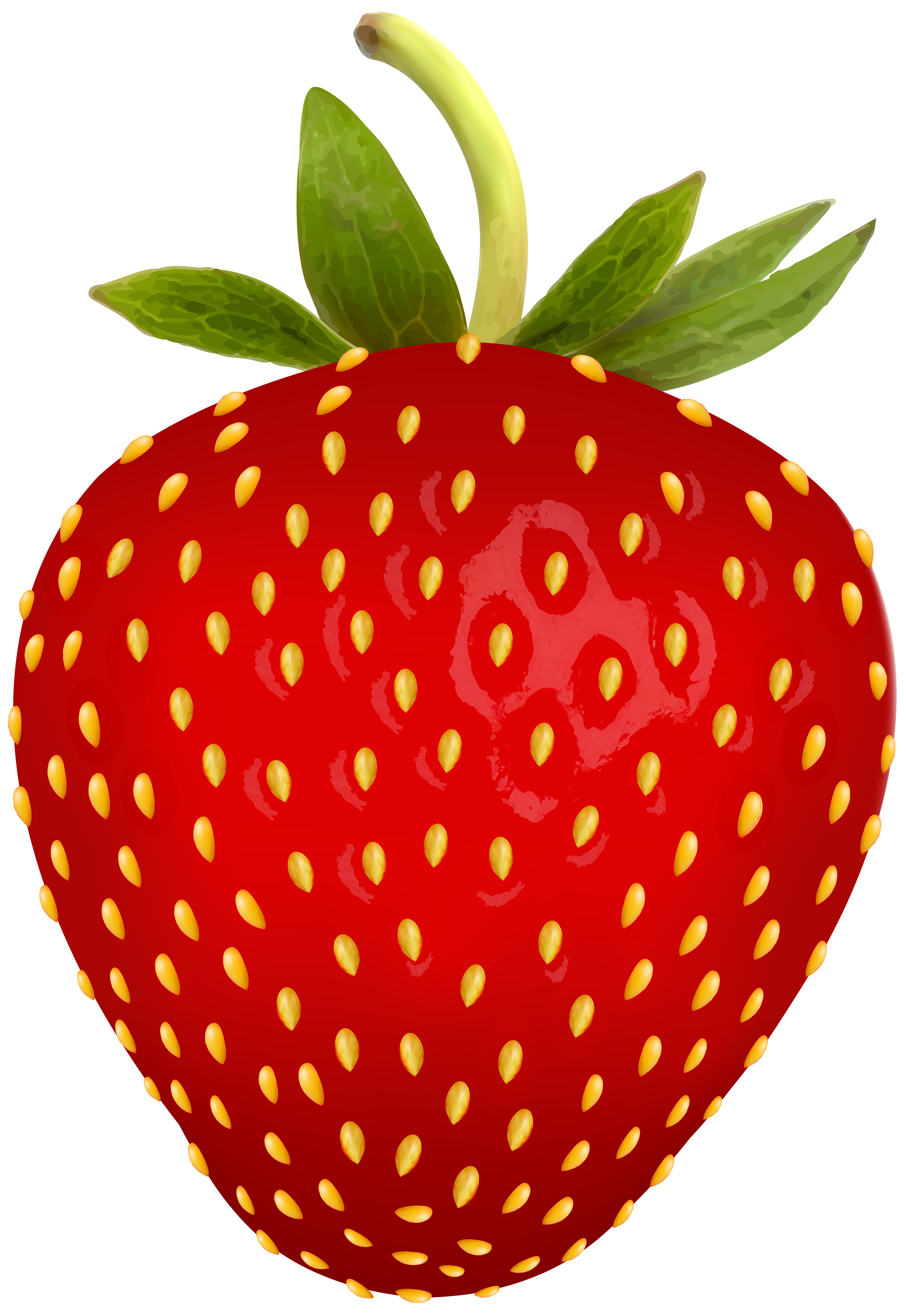 3442x5000 Strawberry Png Free Clip Art Imageu200b Gallery Yopriceville