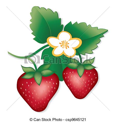 450x470 Strawberry Plant Clipart Amp Strawberry Plant Clip Art Images