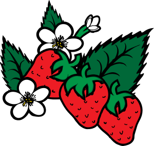 300x285 Strawberry Plant Clipart Strawberries Clip Art