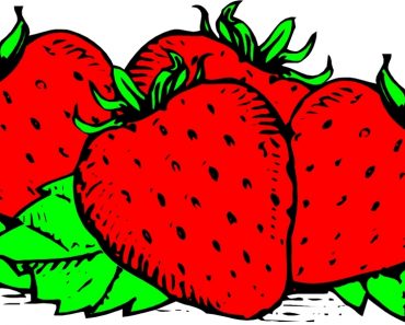 370x297 Unique One Clipart Collection