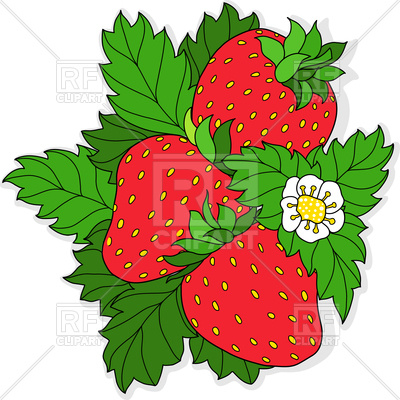 400x400 Ripe Strawberry And Flower On Background Of Green Leaves Royalty
