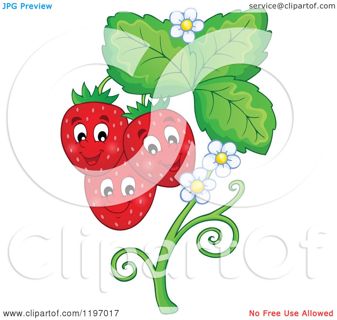 1080x1024 Cartoon Of A Happy Strawberries On A Plant