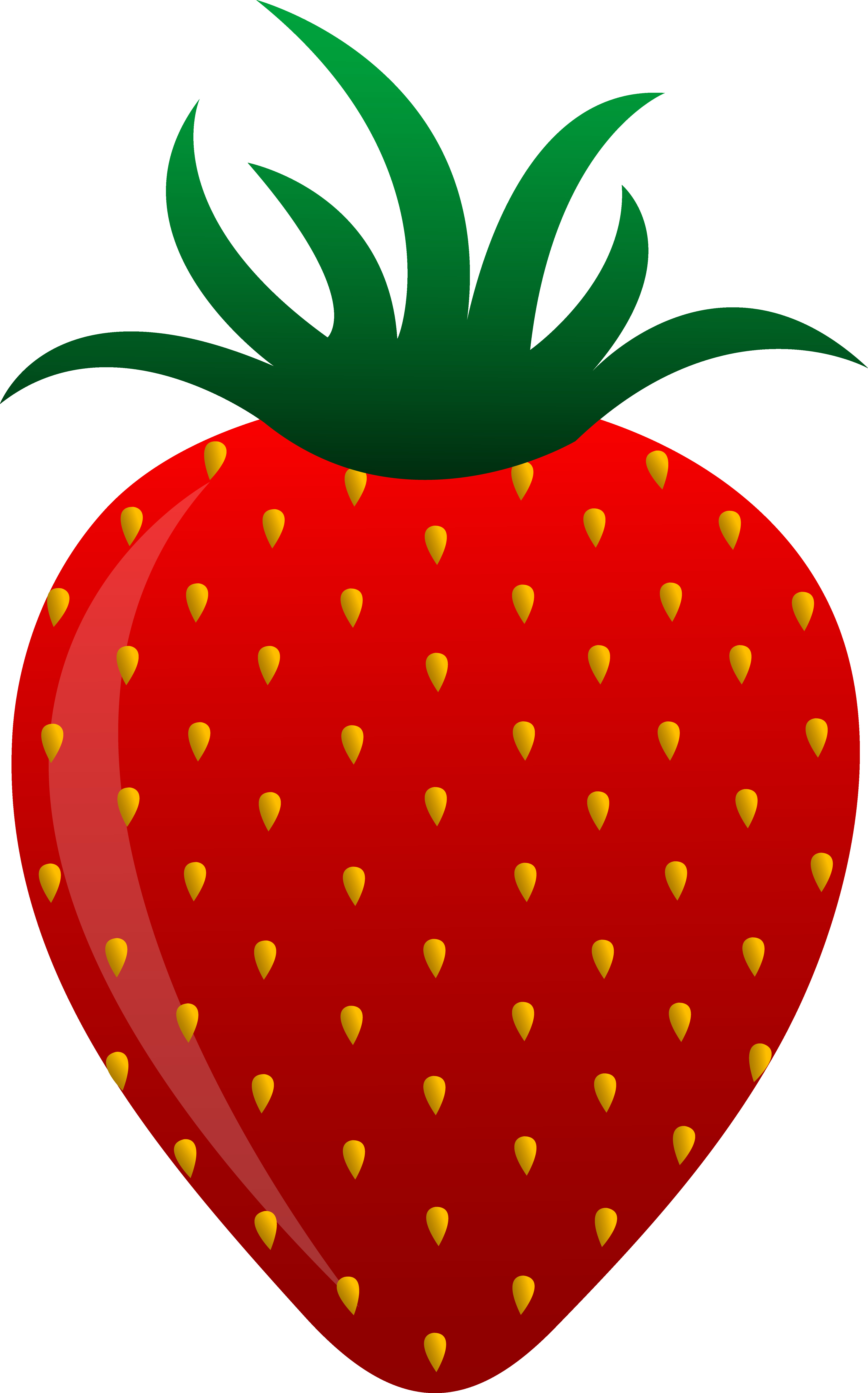 4681x7510 Strawberry Cliparts Transitionsfv