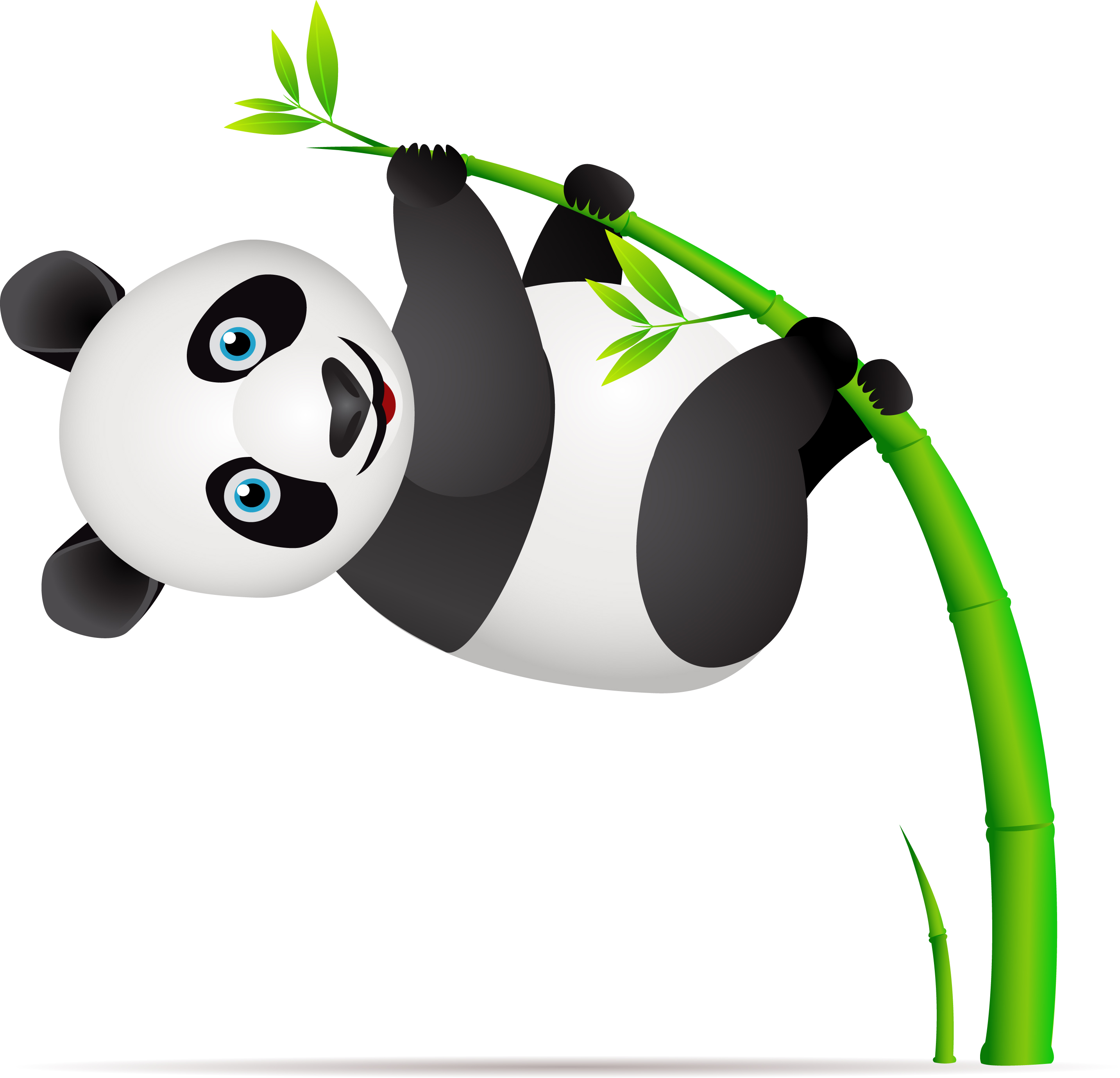2866x2758 Wondrous Design Ideas Panda Bear Clipart Cute Cartoon Bears Clip