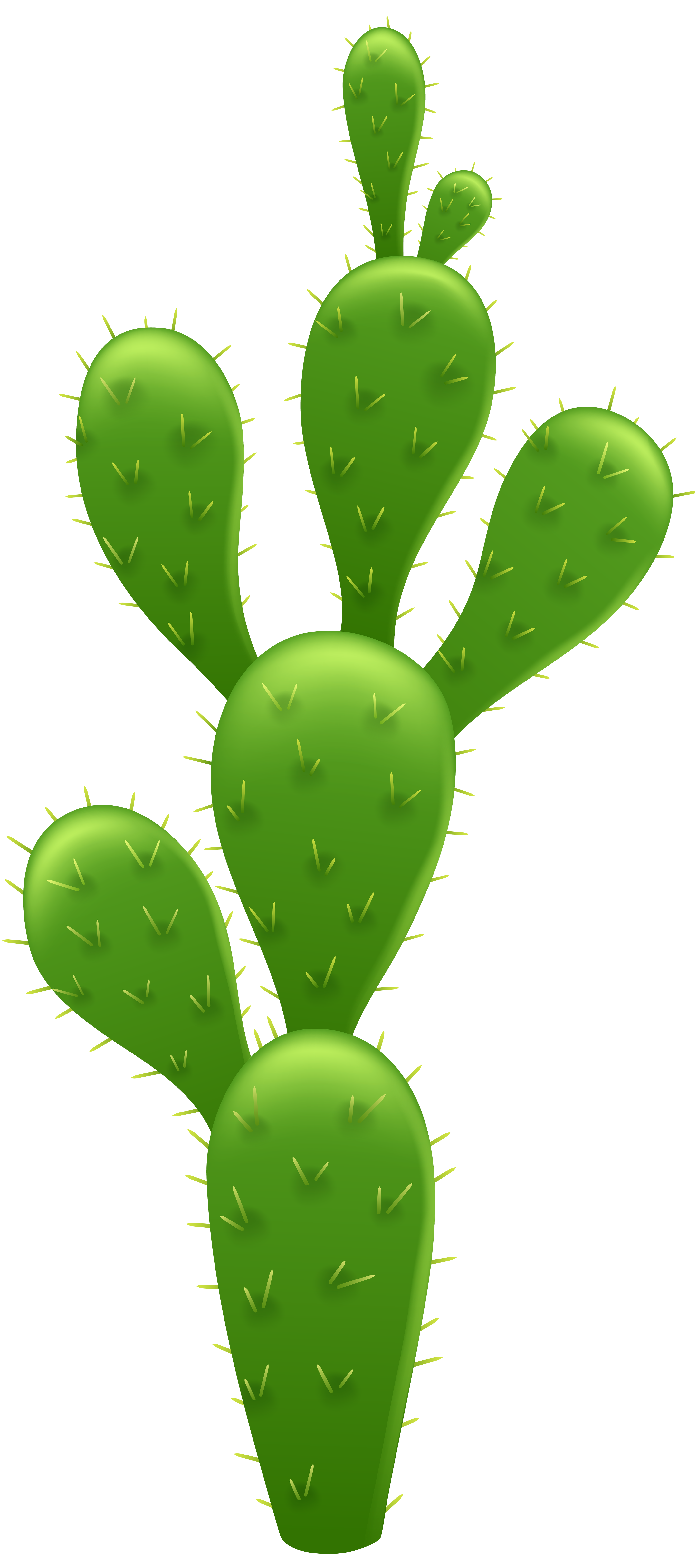 3558x8000 Cactus Transparent Png Clip Art Imageu200b Gallery Yopriceville