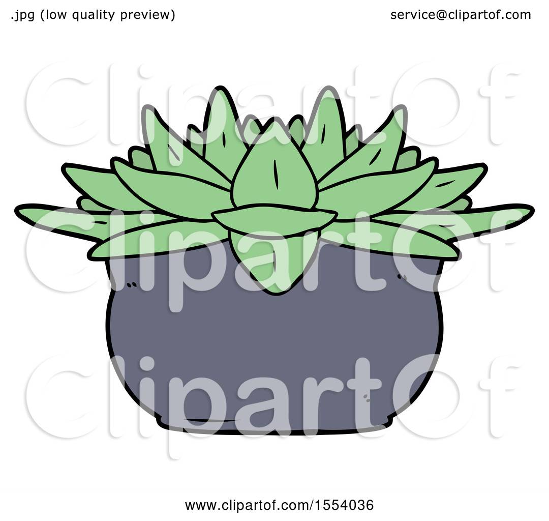 1080x1024 Cartoon Succulent Plant By Lineartestpilot
