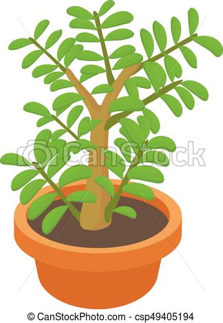 324x470 Crassula Succulent Plant Icon, Cartoon Style. Crassula Eps