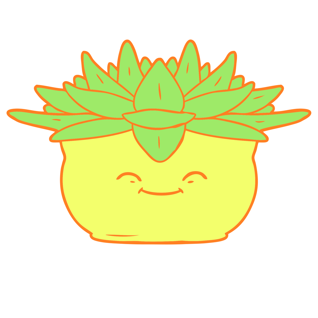 1080x1080 Succulent Haven Nofarmneeded