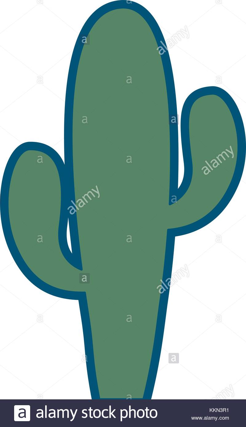 800x1390 Succulent Stock Vector Images