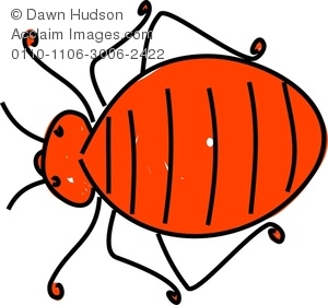 300x279 Clipart Image Of A Whimsical Bed Bug Drawing