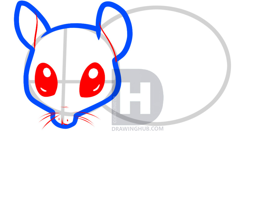 969x720 How To Draw A Sugar Glider, Sugar Glider, Step By Step, Drawing