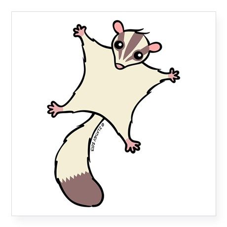 460x460 21 Best Sugar Glider Fan Art Images On Sugar Gliders