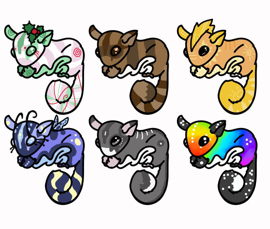 900x762 Sugar Gliders By Amberfall92